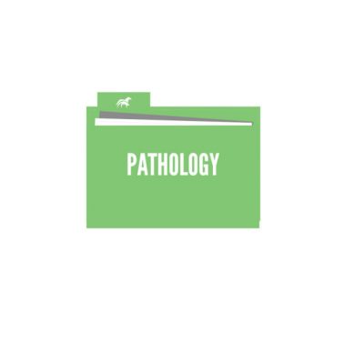 VHPT Pathology